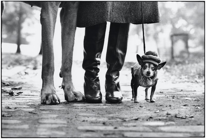 Elliott Erwitt - Photographs